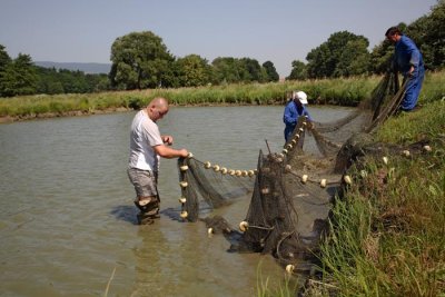 Fishing ribolov_MG_8345-1.jpg