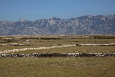 Pastures and stone fences pa¹niki in kamnite ograje_MG_4973-1.jpg