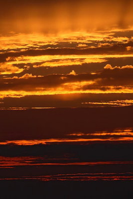 Sunset sonni zahod_MG_5559-1.jpg