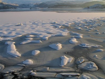 Cold and nice