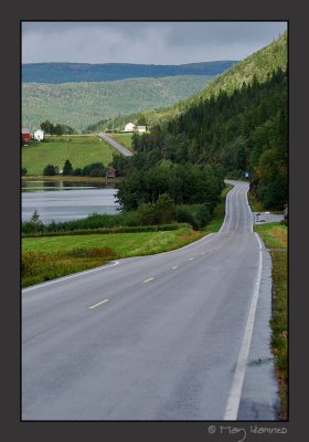 Svalan