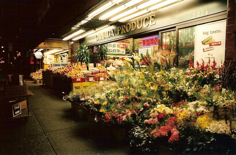 Les Fleurs de Nuit