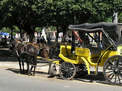two horsepower taxi.....