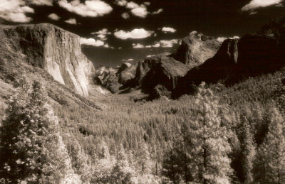 the glacier's path