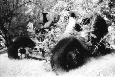 tractor garden