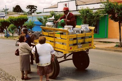 the milkman