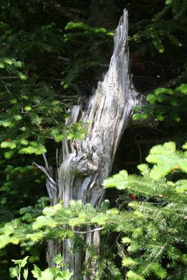 RHOAN MOUNTAIN POST.jpg