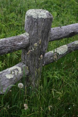ROADSIDE FENCE.jpg
