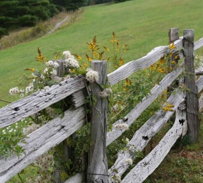 IMG_4887 A -RS NWTrading Post Fence w goldenrod.jpg