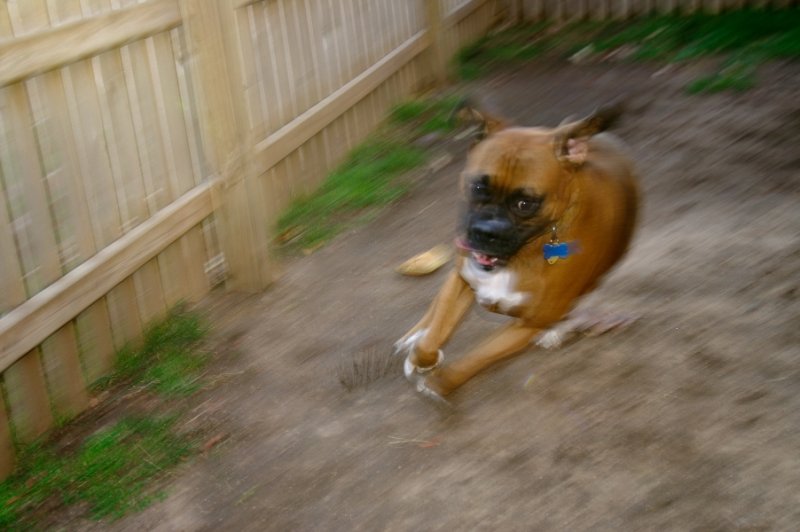 Tamron17_35mm_3.JPG