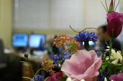 PICT0284a.jpg