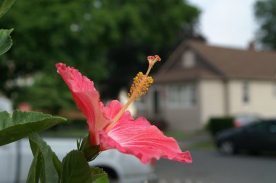 PICT1587a.jpg