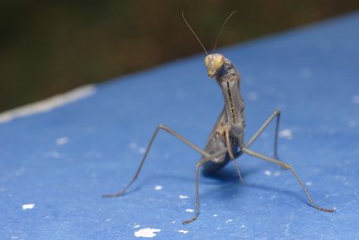 _DSC0020.JPG