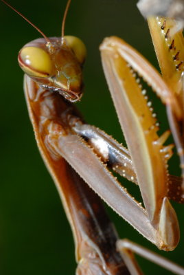 DSC_0177.JPG