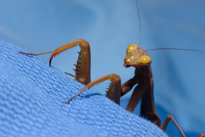 DSC_0184.JPG
