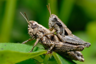 DSC_0151.JPG