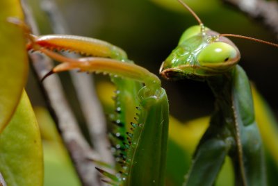 DSC_0040.JPG