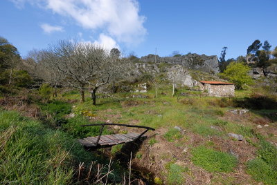 DSC_0070.JPG