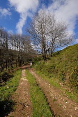 DSC_0083.JPG