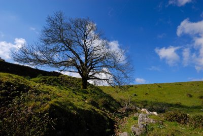 DSC_0090.JPG