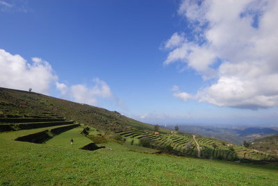 DSC_0095.JPG