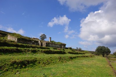 DSC_0114.JPG