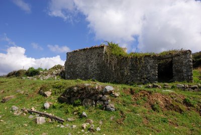 DSC_0118.JPG