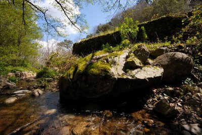 DSC_0157.JPG