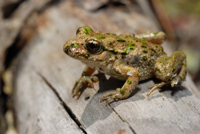 DSC_0118.JPG