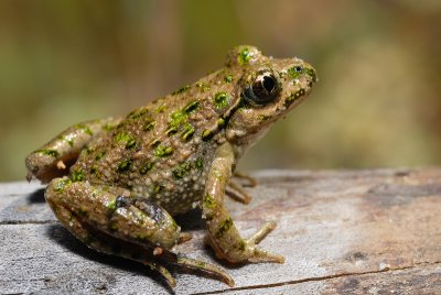 DSC_0120.JPG