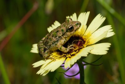DSC_0127.JPG