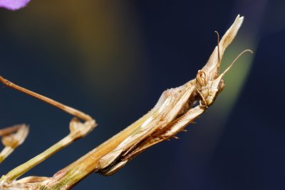 DSC_0068.JPG