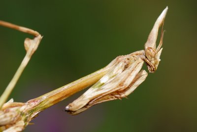 DSC_0072.JPG