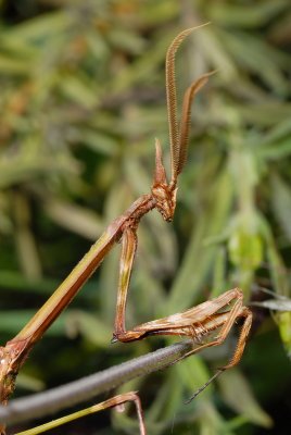 DSC_0077.JPG