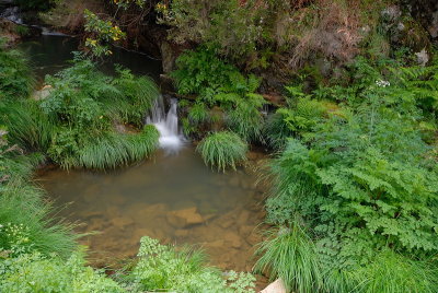DSC_0221.JPG