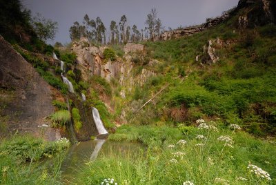 DSC_0245.JPG