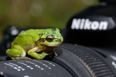 DSC_0062.JPG