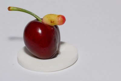 DSC_0106.JPG