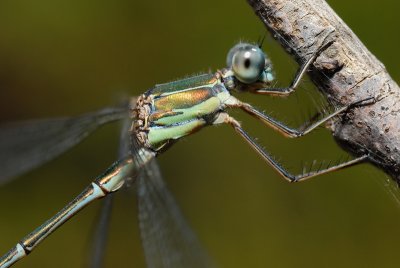 DSC_0021.JPG