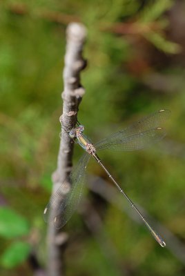 DSC_0026.JPG