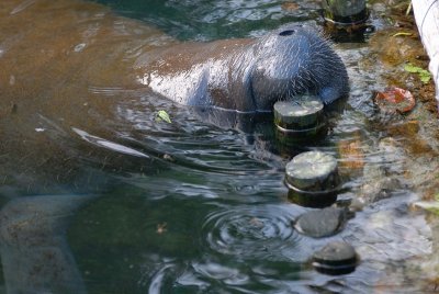 DSC_0198.JPG