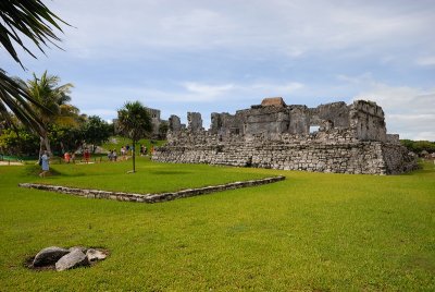 DSC_0033.JPG