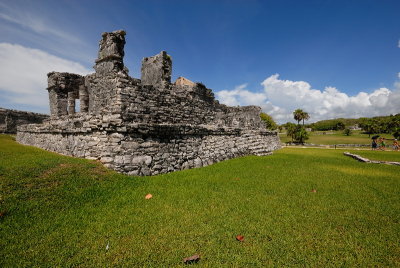 DSC_0110.JPG
