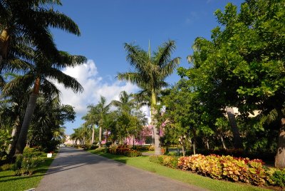 DSC_0024.JPG