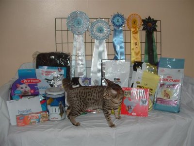 Kahla and all her prizes