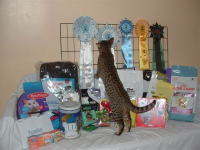 Kahla smells on one of the Rosettes