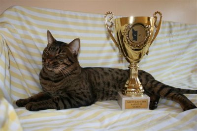 SVERAK/FIFe4th Best Adult kat.lll 2006