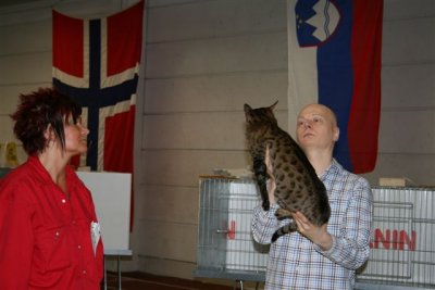 Looking at his head