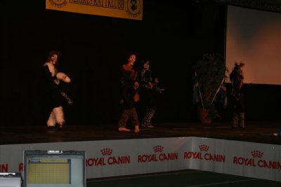 scene from Cats