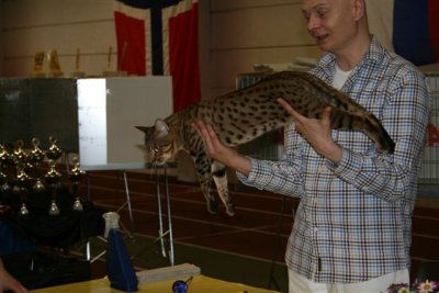 EC S*Lis-Katt Prinz,JWOCI n24